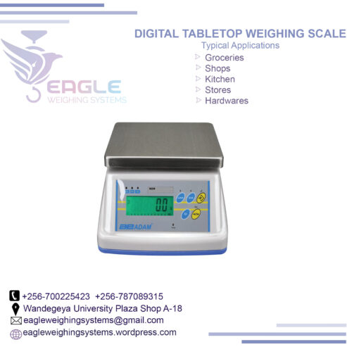 Commercial Electronic Table Top Kitchen Food Scales