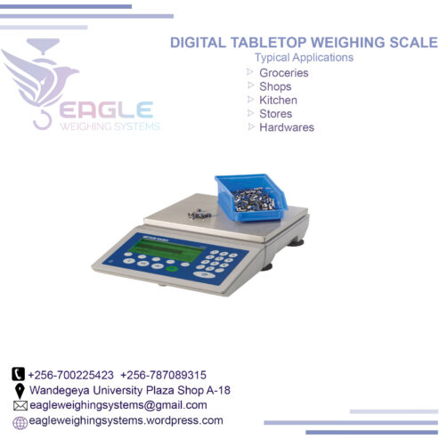 Digital Food, Household Digital Kitchen Scale With Bowl