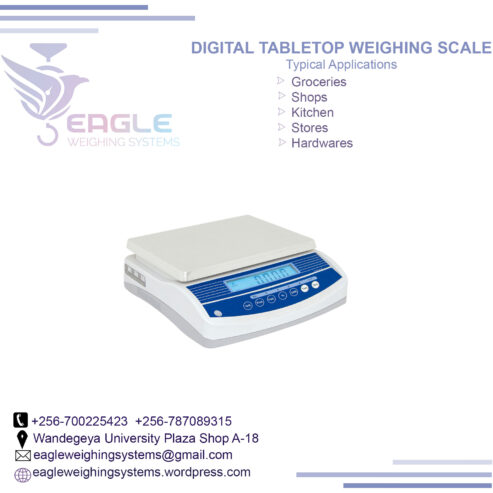 Digital Portable Kitchen Weighing Scales in Kampala Uganda