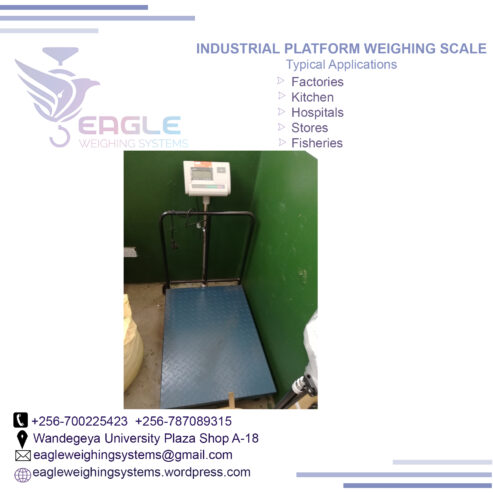 Digital weight 3 ton electric warehouse weighing scales