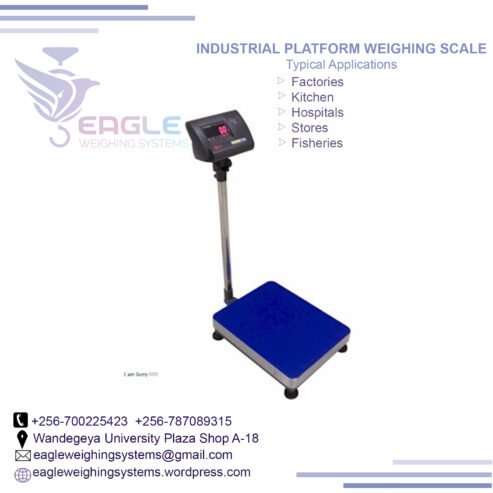 300KG Electronic Digital Industrial Platforms in Kampala