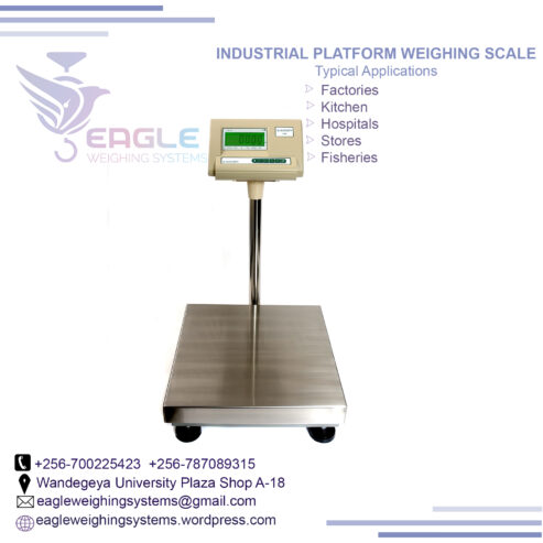 Stainless steel electronic weighing scales in Kampala Uganda