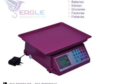 weighing-scale-square-work14
