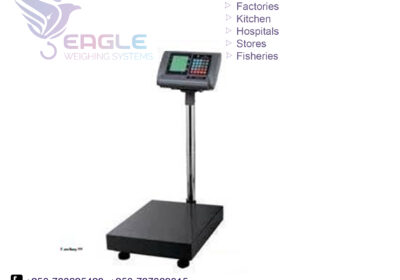 weighing-scale-square-work17-12