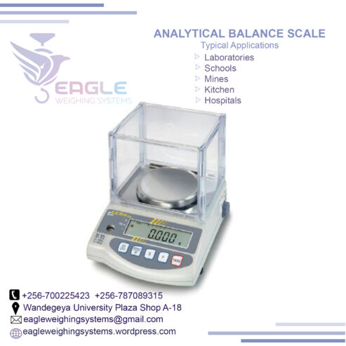 Industrial electronic Laboratory analytical digital scales