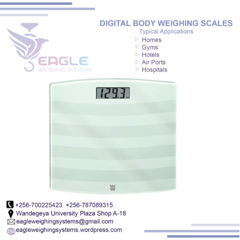 High Accuracy Personal Bathroom Gym electronic scales