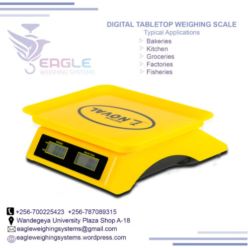 Baking Kitchen Table Top Scales SF400 10kg company in Uganda