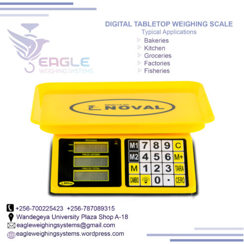 Wholesale Food Table Top Kitchen Digital Weighing Scales