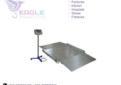 weighing-scale-square-work24-10