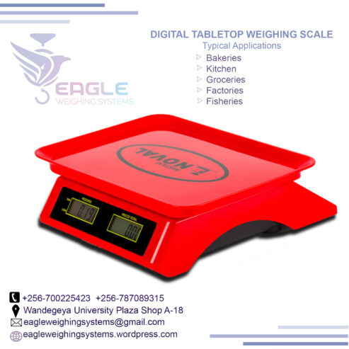 Digital Food, Household Digital Kitchen Scale With Bowl