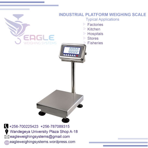 Weight floor weighing scales for industries in Uganda