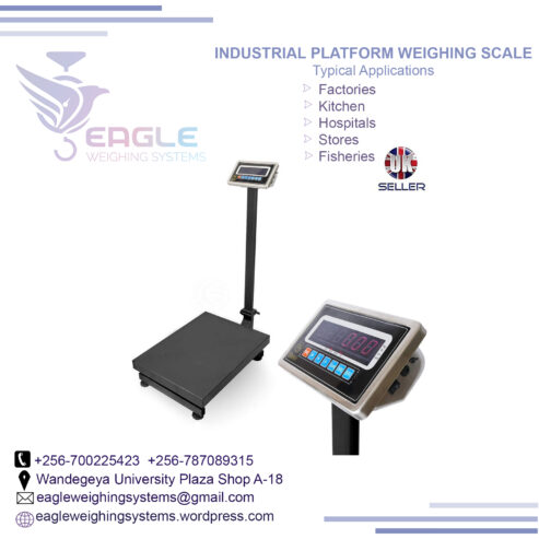 TCS system electronic bench weighing digital platform scales