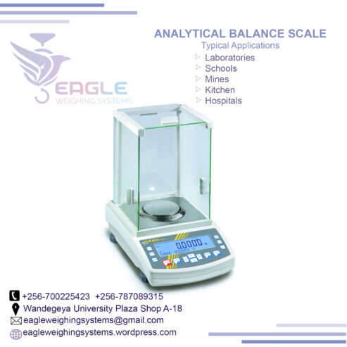 Display Laboratory analytical digital electronic scales