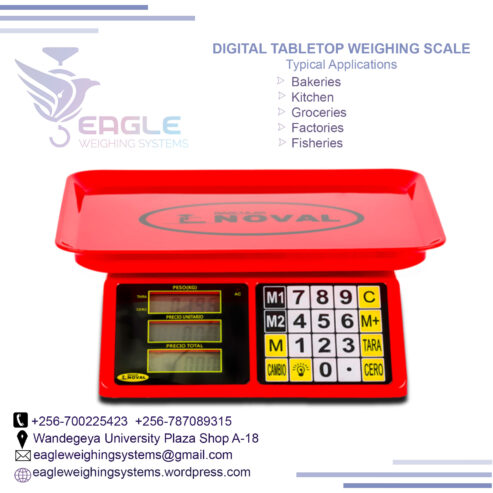 Shipping table top bench scale kitchen weighing scales