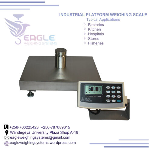 Digital weight 3 ton electric warehouse weighing scales Kamp