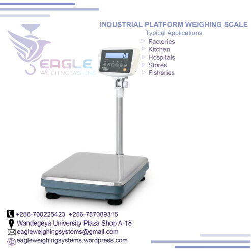 Stainless steel top platform scale with rail in Kampala