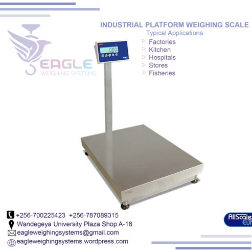 LPG Filling Gas Cylinder Platform Weighing Scale