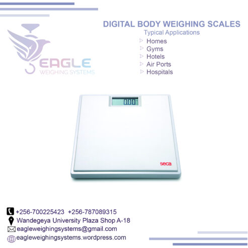 Household bathroom electronic personal weight scales