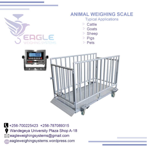 Suppliers of electronic digital Animal scales in Kampala