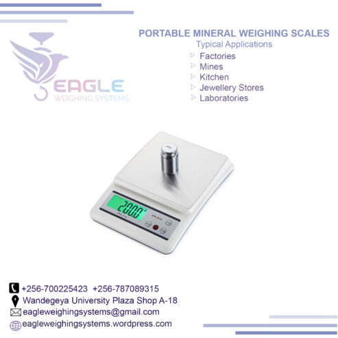 Pocket Size Display Units Pocket Electronic Scales