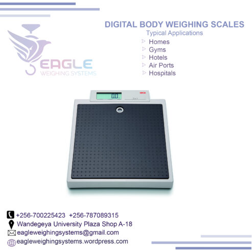 High Accuracy Personal Bathroom Gym electronic scales