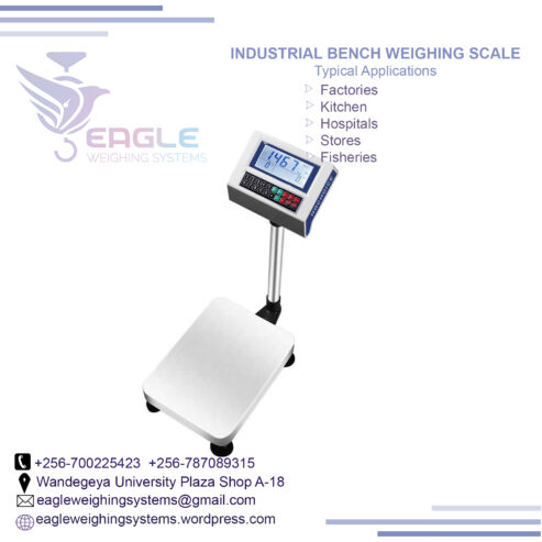 Electronic floor weighing scale bench scales in Kampala