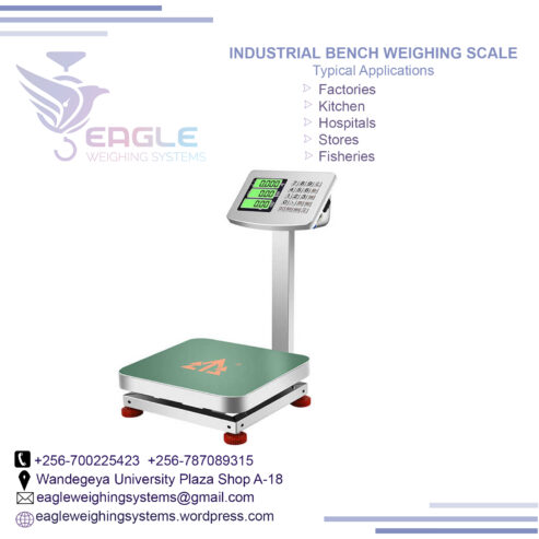 300kg Digital Platform weighing scales in Kampala Uganda