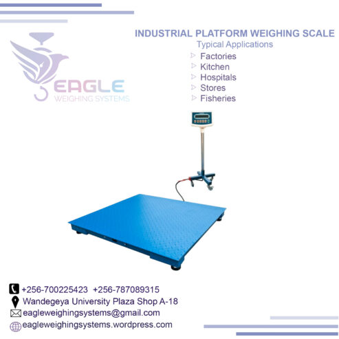 Platform floor scale industrial weighing scales in Uganda