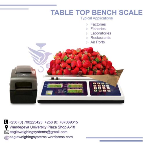 Bench Table Top Weighing Scales in Kampala Uganda