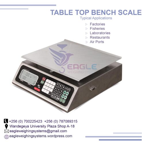 Stainless steel material table top weighing scales