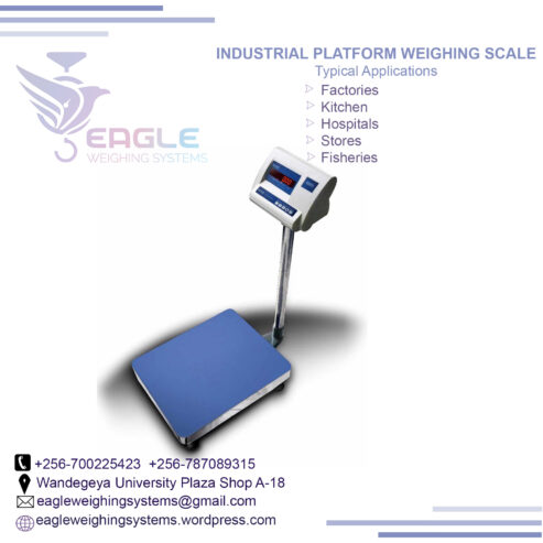 electronic platform digital weighing scale with railing