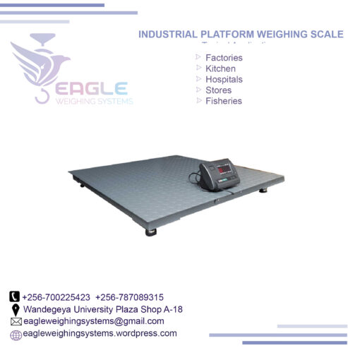 Digital Platform scale 40kg electronic weigh scale