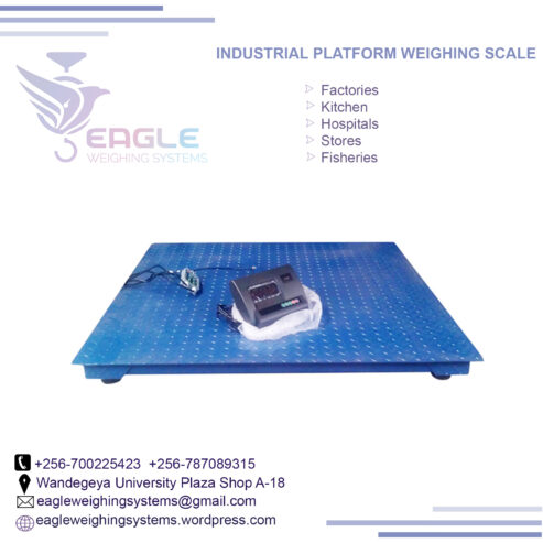 Platform floor scale industrial weighing scales in Uganda