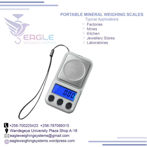 500g/0.01g Portable Electronic Scale with Windshield