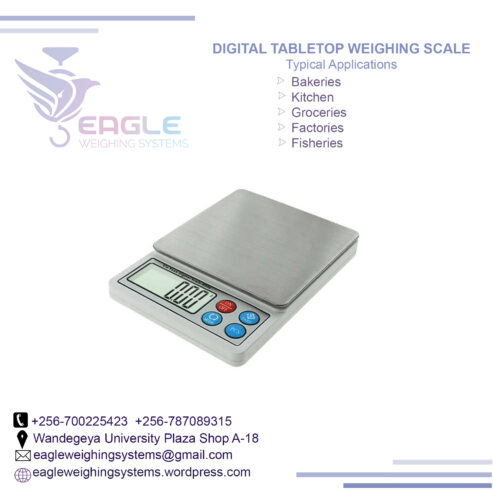 Digital Portable Kitchen Weighing Scales in Uganda