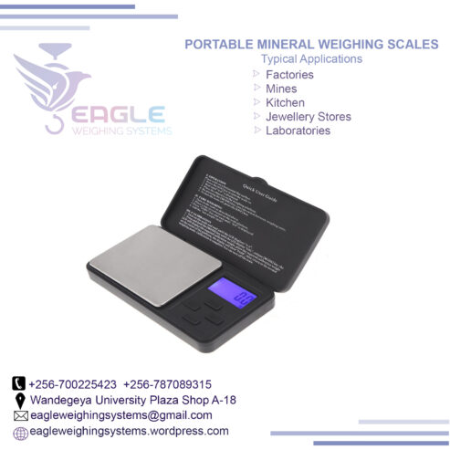 500g/0.01g Portable Electronic Laboratory School Scale in Ug