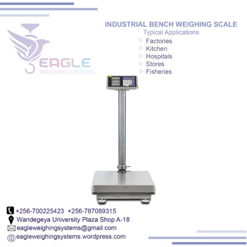 Portable Platform Digital Electric Weight Scales in Kampala