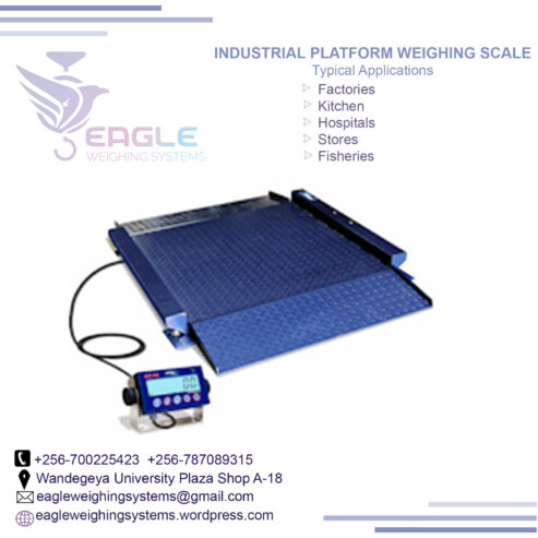 Industrial strong low profile platform scale in Kampala Uga