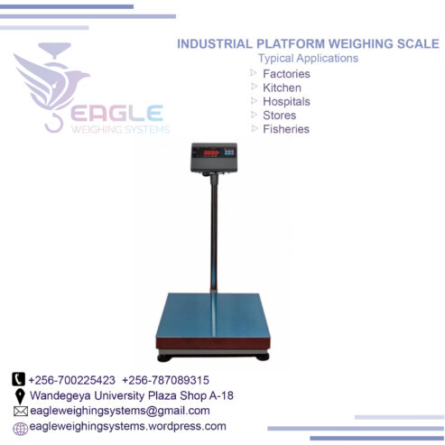 Platform balance weight scales weighing bench scale