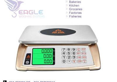 weighing-scale-square-work53-8