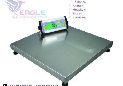 weighing-scale-square-work6-16