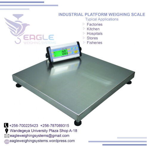 Electronic platform weighing digital scale/balance