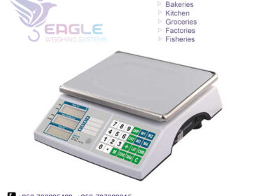 weighing-scale-square-work60-1