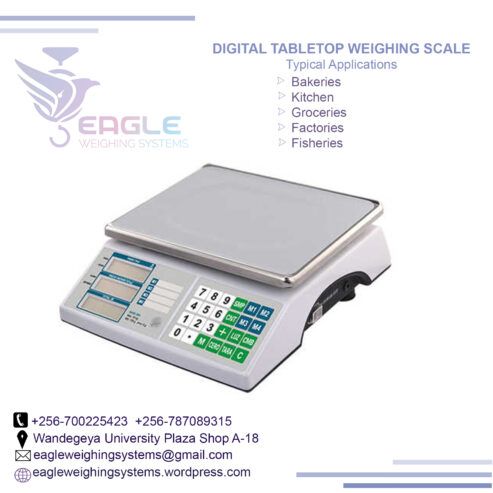 Stainless Steel Electronic Table Top weighing scales