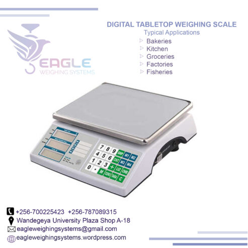 Square 30kg digital market commercial table top weighing sca