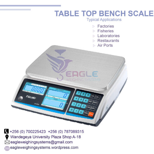 Table Top Electronic Laboratory Balance Scale