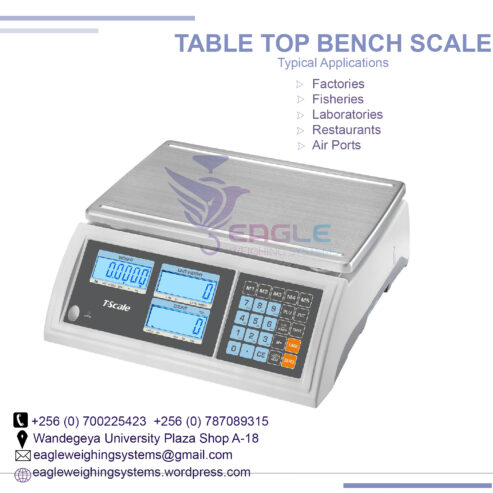 Waterproof type Table Top stainless steel weighing Scales