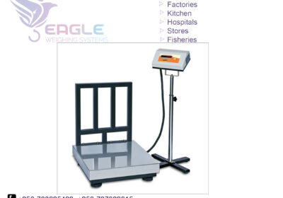 weighing-scale-square-work7-12