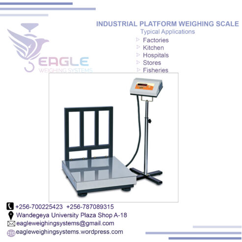 TCS system electronic bench weighing digital platform scales