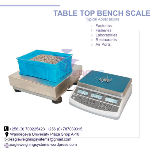 Shipping table top bench scale kitchen weighing scales